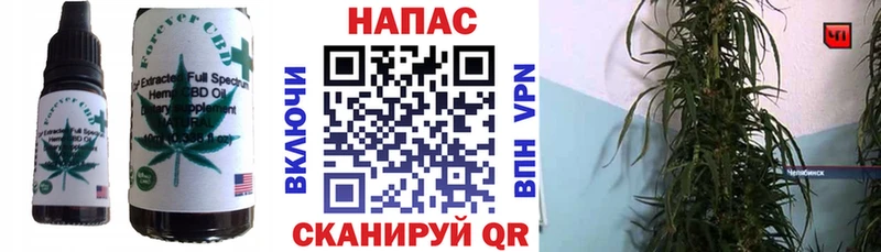 Cannafood марихуана  что такое наркотик  площадка формула  Кашин 