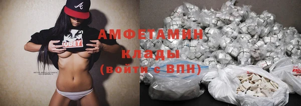 индика Мегион