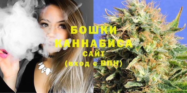 прущие грибы Михайловск