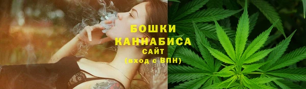 мдпв Дедовск