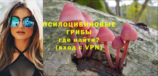 прущие грибы Михайловск