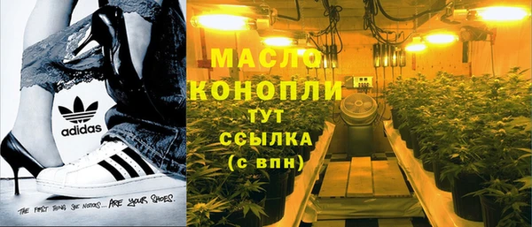 индика Мегион