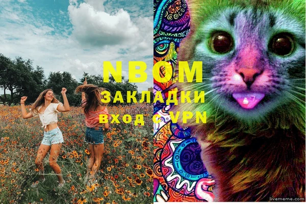прущие грибы Михайловск