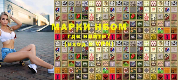 индика Мегион