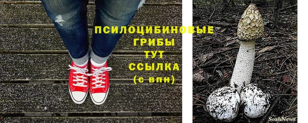 прущие грибы Михайловск