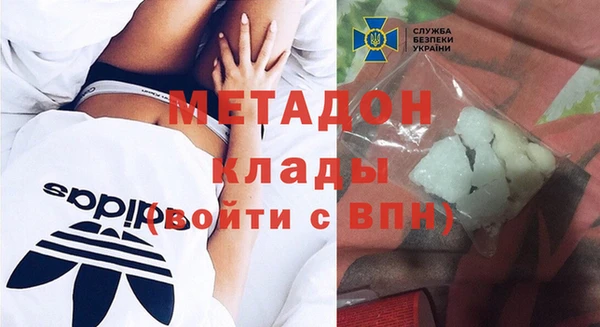 прущие грибы Михайловск