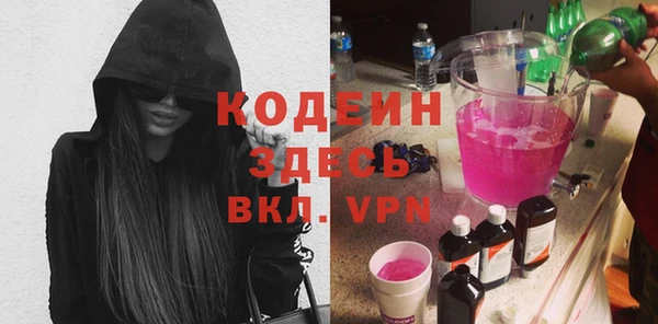 индика Мегион