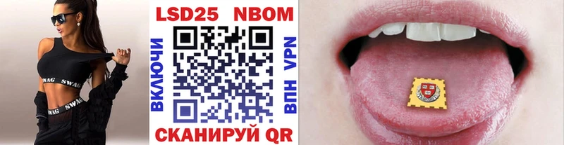 MEGA   Кашин  Марки N-bome 1,5мг  где купить наркоту 