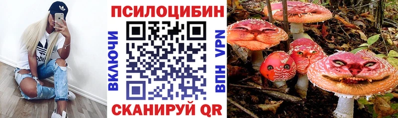 Галлюциногенные грибы Psilocybe  Кашин 
